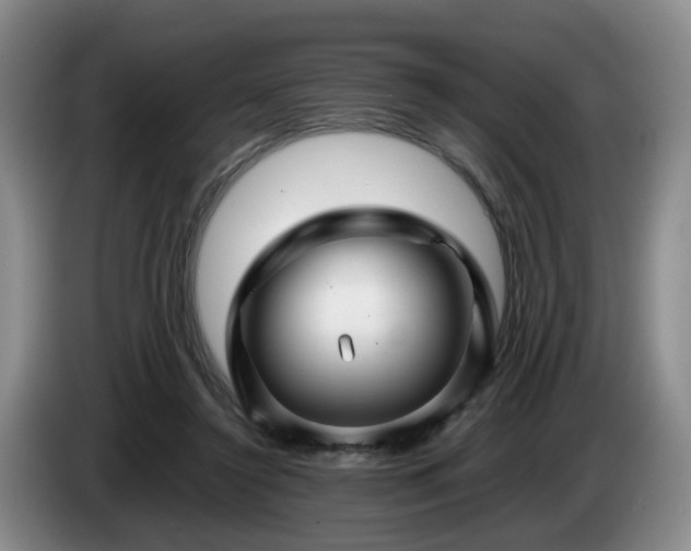 X0000085070356200703121646