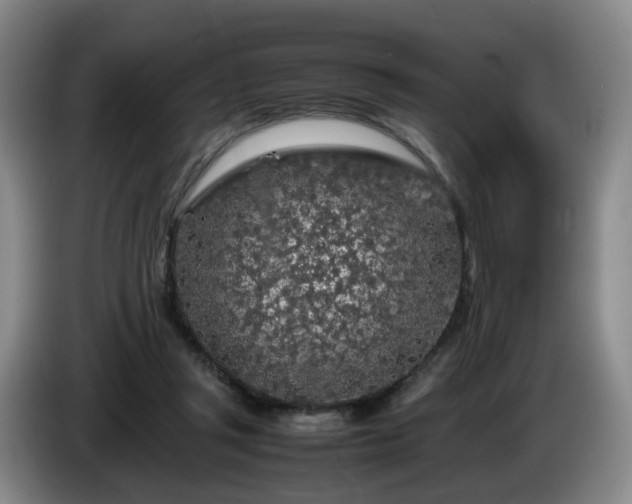 X0000085070357200703121647