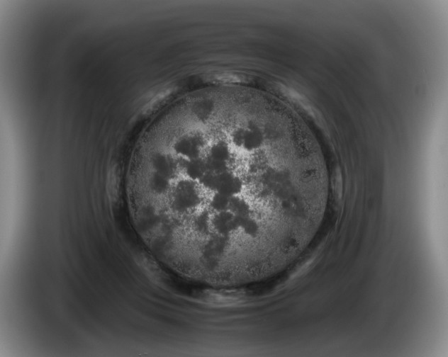 X0000085070359200703121647