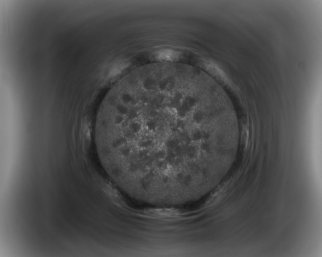 X0000085070363200703121647