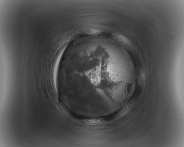 X0000085070366200703121647