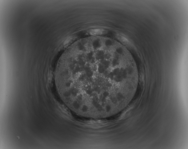 X0000085070367200703121647