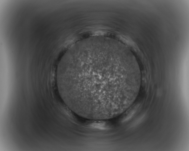 X0000085070369200703121647