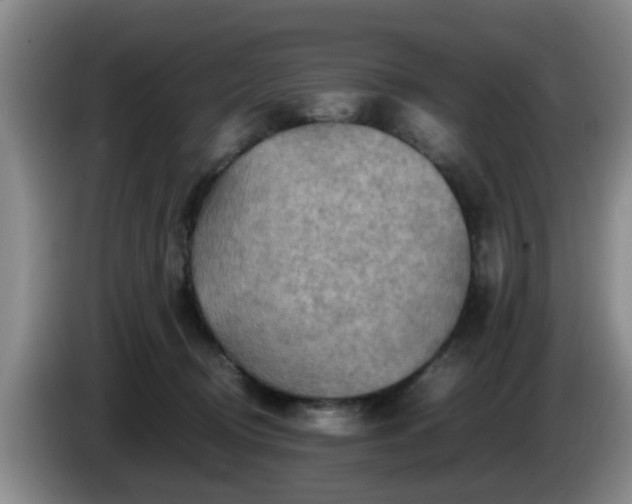 X0000085070370200703121647