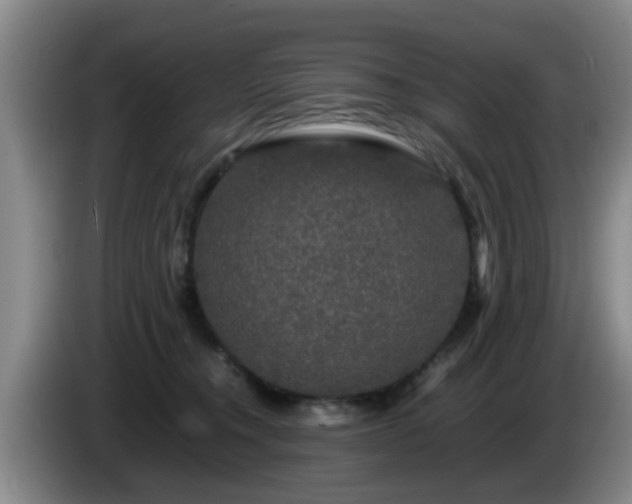 X0000085070372200703121647