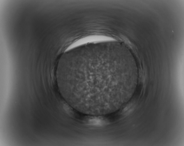 X0000085070377200703121647