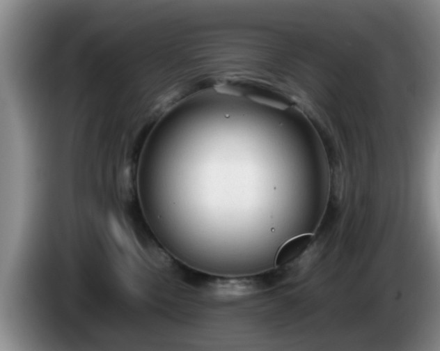 X0000085070378200703121647