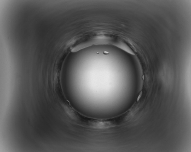 X0000085070379200703121647