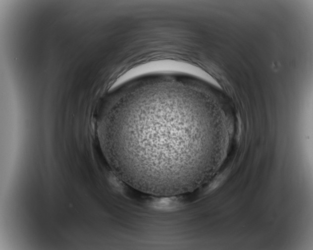 X0000085070382200703121647