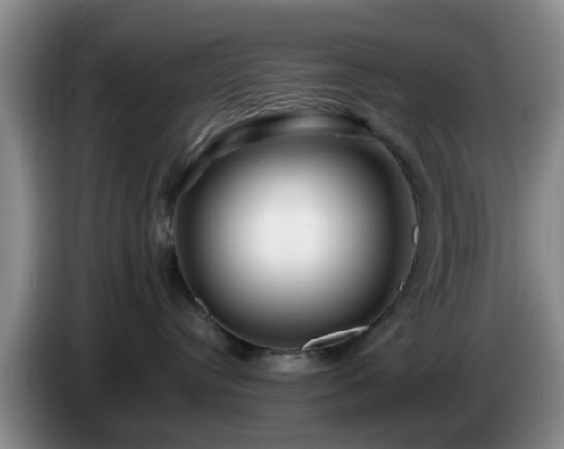 X0000085070384200703121647