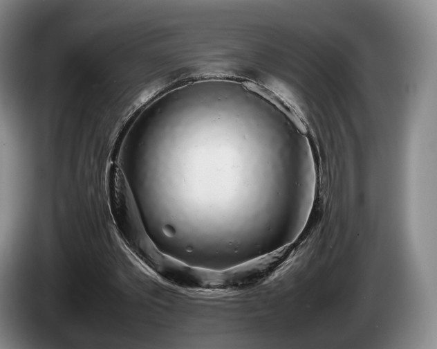 X0000085070389200703121646