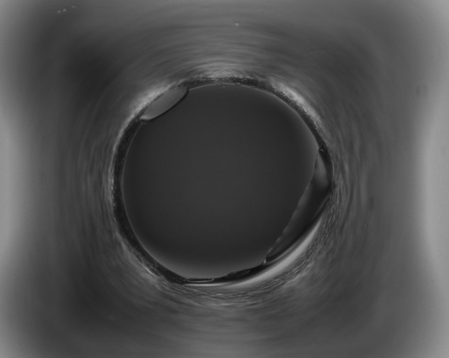 X0000085070391200703121646