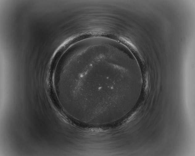 X0000085070392200703121646