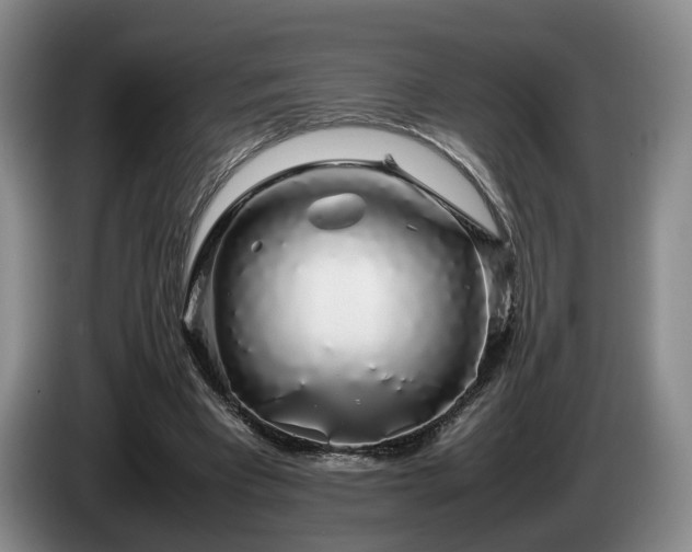 X0000085070393200703121646