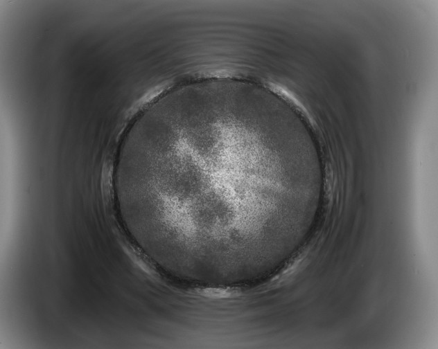 X0000085070394200703121646