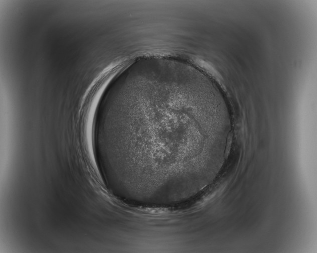 X0000085070395200703121646