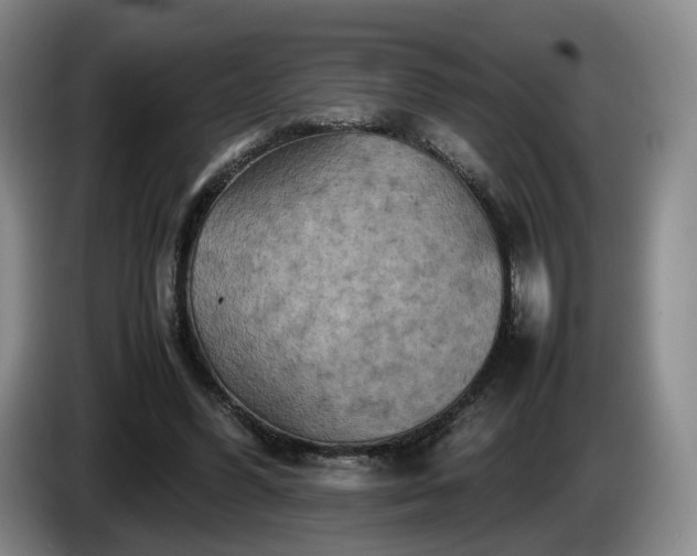 X0000085070396200703121646