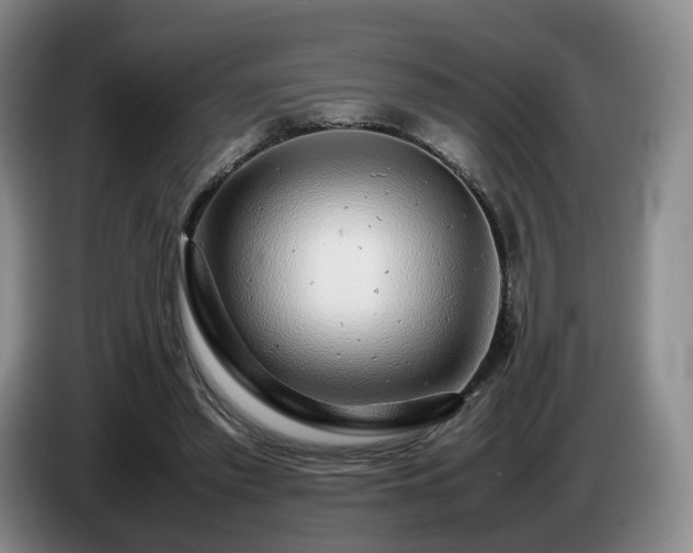 X0000085070397200703121646