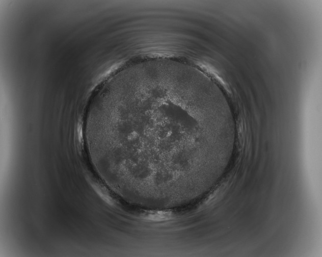 X0000085070398200703121646