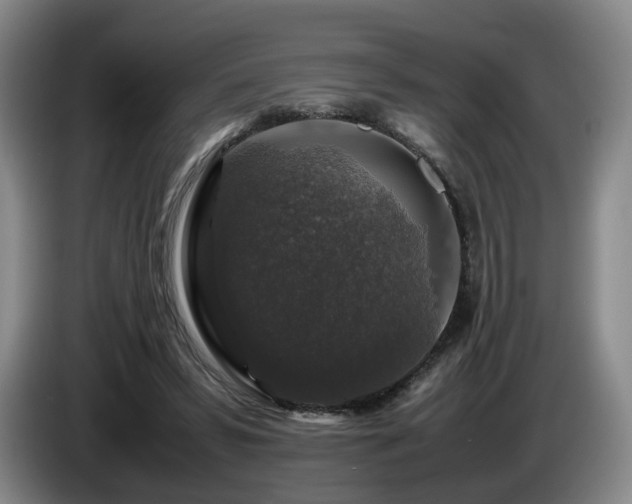 X0000085070399200703121646