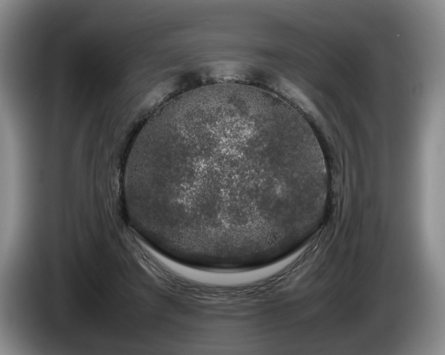 X0000085070401200703121646