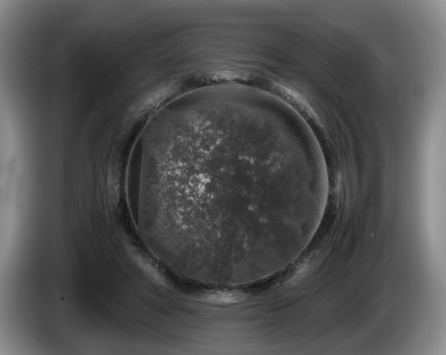 X0000085070402200703121646