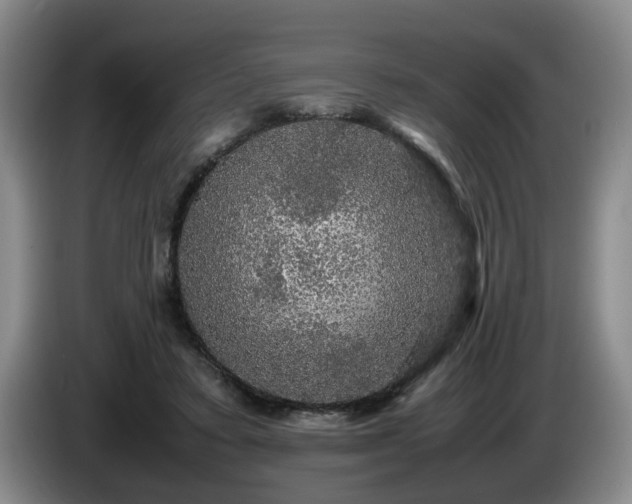 X0000085070403200703121646