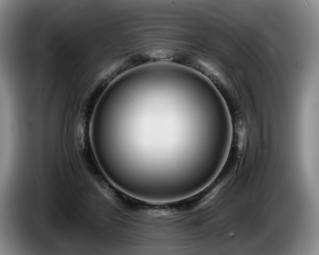 X0000085070404200703121646