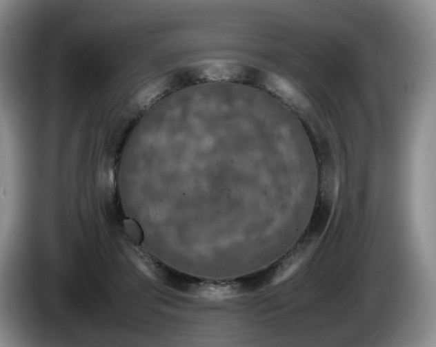 X0000085070405200703121646