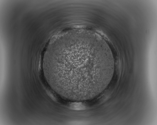 X0000085070406200703121646