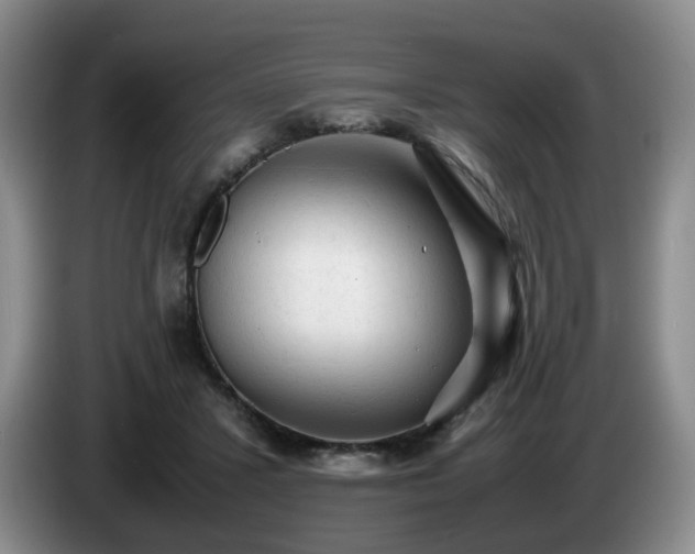 X0000085070407200703121646