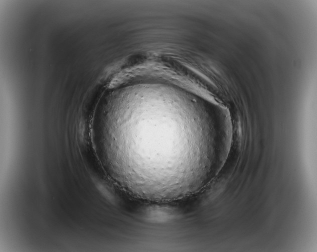 X0000085070408200703121646