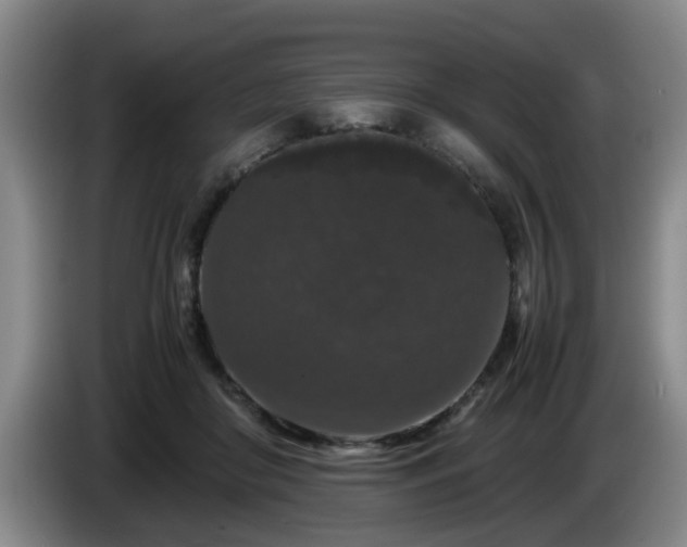 X0000085070410200703121646