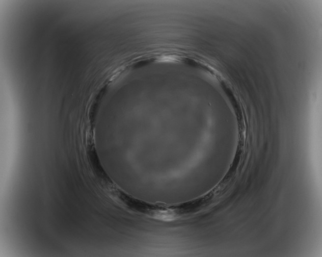 X0000085070411200703121646