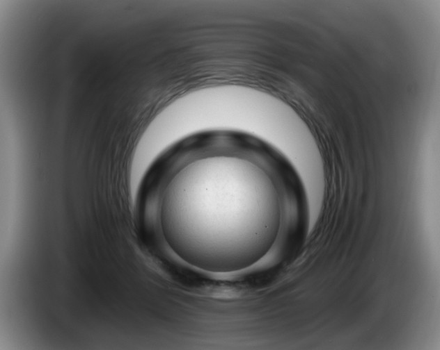 X0000085070412200703121646