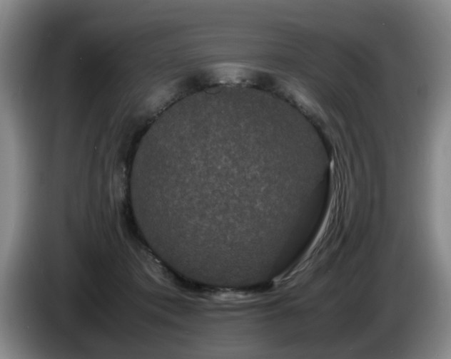 X0000085070413200703121646