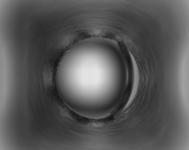 X0000085070416200703121646