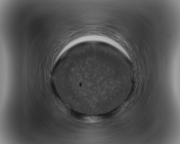 X0000085070417200703121646