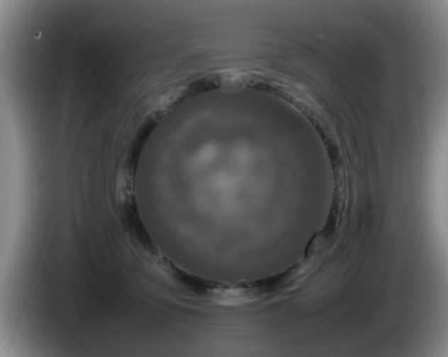 X0000085070419200703121646