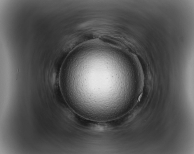 X0000085070420200703121646