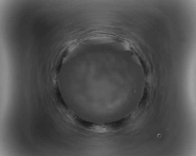 X0000085070423200703121646