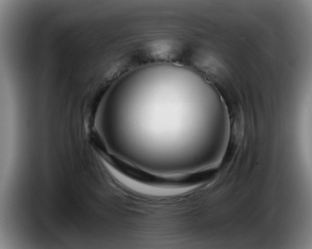 X0000085070424200703121646