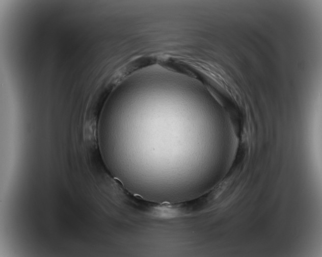 X0000085070425200703121646