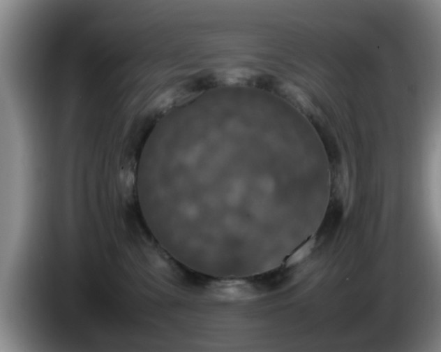 X0000085070427200703121646