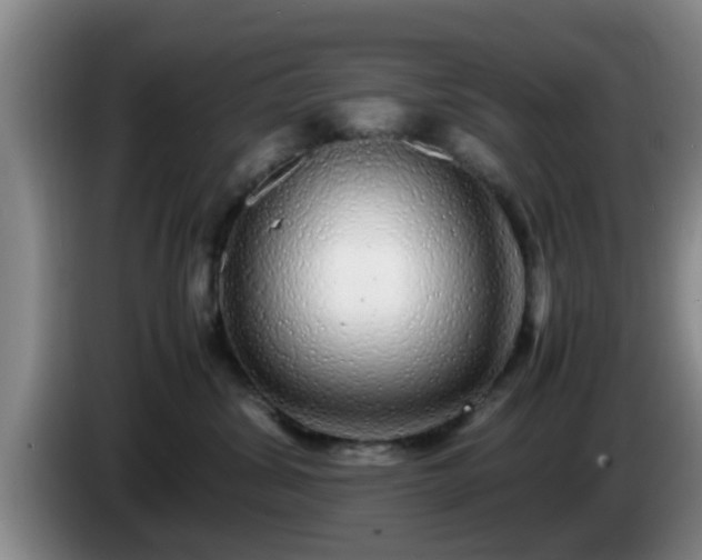 X0000085070428200703121646