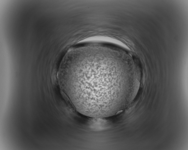 X0000085070429200703121646