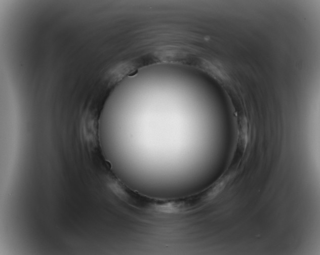 X0000085070430200703121646