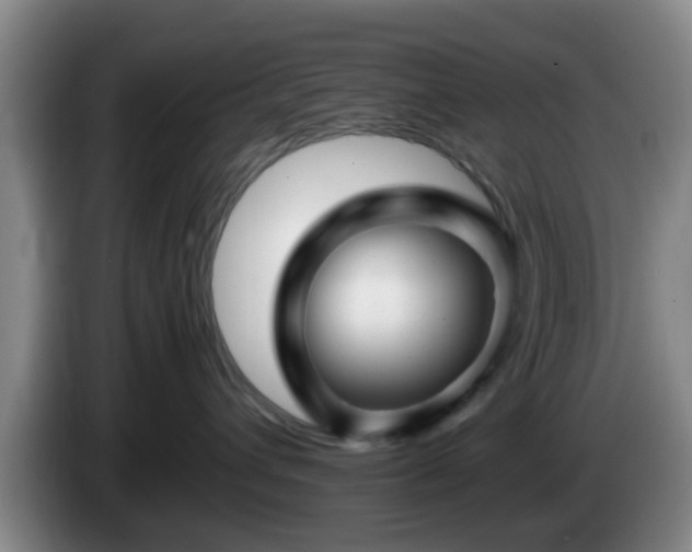 X0000085070432200703121646