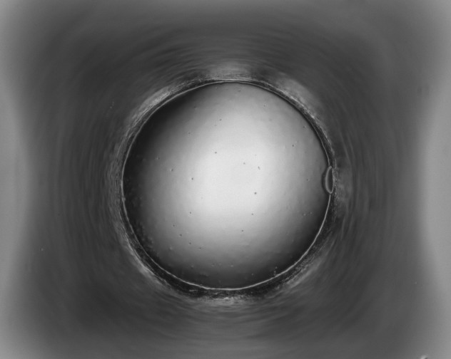 X0000085070433200703121645