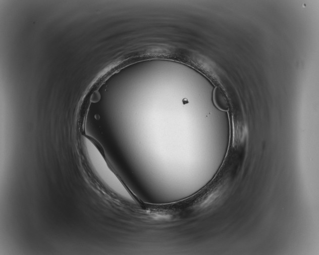 X0000085070435200703121645